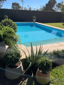 Colonial-style house