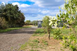 Berney Lodge by SkyBears Holidays - Puppy Lounge, Arcades, Games room