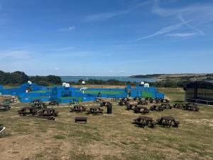 The Squirrels Nest Stylish Modern Caravan Stay