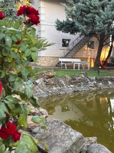 Гостьовий дім PATRICK