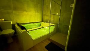 Appartement Chic avec jacuzzi