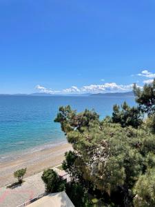 Apartment above the sea