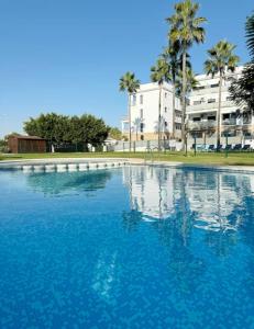 Petite Paradise Oliva