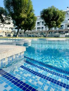 Petite Paradise Oliva