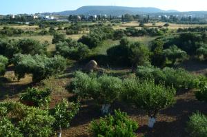 Theofilos Appartements Kythira Greece