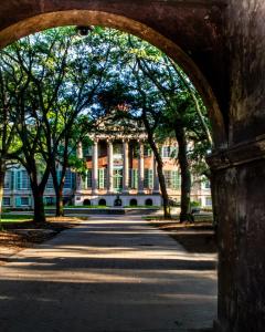 Steps to King! - Dreamy Stay for Curious Explorers