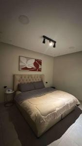 شقة غرفة وصالة