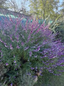 Casa con vista a las Sierras