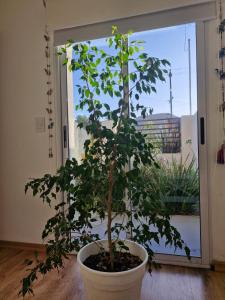 Casa con vista a las Sierras