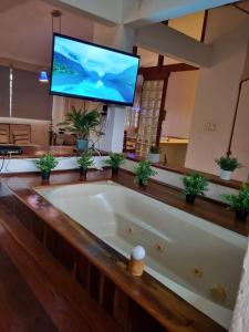 Private Apt, AC, Jacuzzi, parking Centro