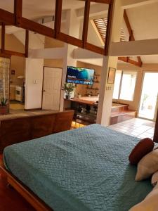 Private Apt, AC, Jacuzzi, parking Centro