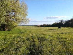 4 star holiday home in Hornsyld