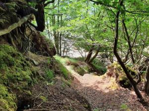 4 star holiday home in Hornsyld