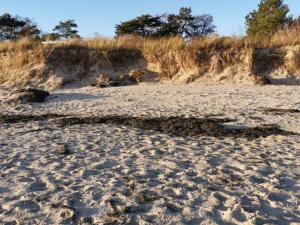 Luxury Villa with Pool - By Traum Ferienwohnungen