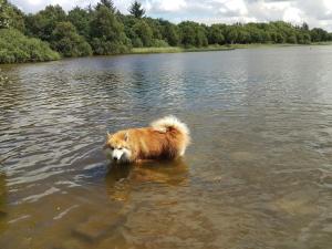 6 person holiday home in Ansager-By Traum