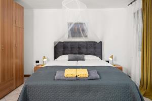 Luxury villa with a swimming pool Trget, Rasa - 23420