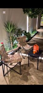 استديو رامس