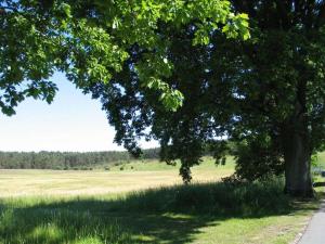 in the Lenzer Höh I holiday park