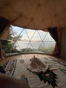 Jungle camping kintamani