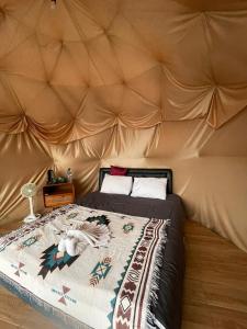 Jungle camping kintamani