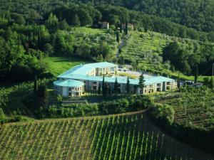Apartment in Tuscany near Chianti Vineyards