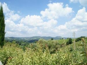 Apartment in Tuscany near Chianti Vineyards