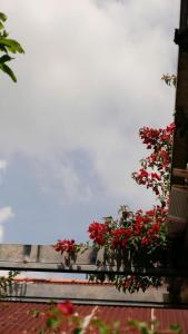 Homestay Mai Ngọc Tây Ninh