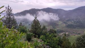 Entire 4 Bedroom Vacation Home - The Chimes House