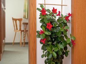 Apartment with balcony in Hart im Zillertaler