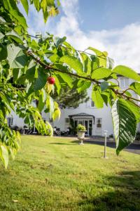 Hotels Logis Hotel Restaurant des Chateaux : photos des chambres