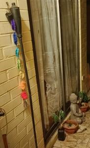 Ksa Florida moonlight