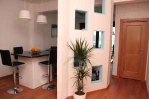 Apartment Obradovic
