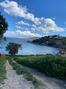 Bungalow-8 in Karaburun Boyabağ Bay