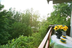 Apartament Niebieski Narie