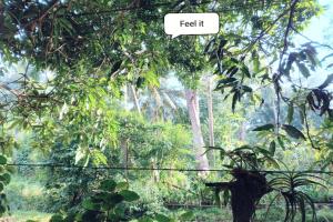 Gajaa Safari Homestay