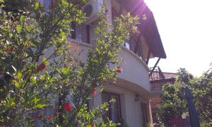 Vila Krista