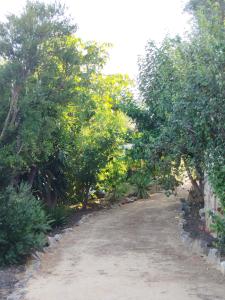 Casa rural en el Parque Natural de los Alcornocales