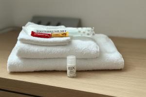 Central 3-Room Apartment in Luzern for up to 6 Guests