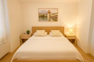 3 room Apartment Luzern for 6 Person