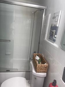 Cozy Apartment in Miami