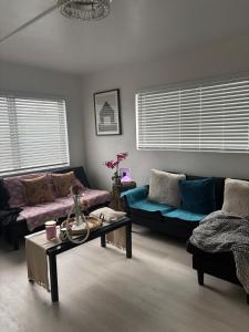 Cozy Apartment in Miami