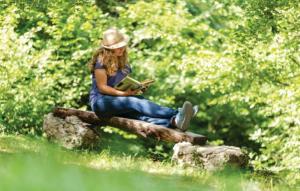 Legato apartman Opatija-Veprinac by Villas Guide