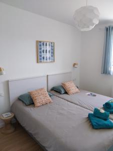 Séjour cosy proche mer- la Torche- spot surf