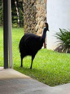 Lux rainforest lodge - 2 King bedrooms