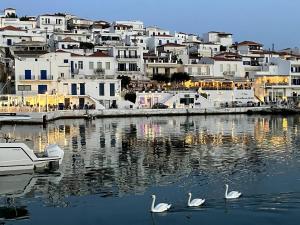 Endless Bleu Villa Andros Island