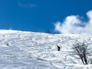 Guesthouse HOALOHA 4 SEASONS