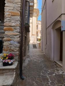 La casa del falegname