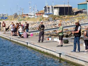 8 person holiday home in Ringkøbing-By Traum