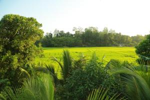 Villa Natures Bounty