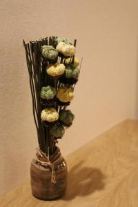 Villa Tolnay Vendégház